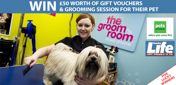 Win £100 worth of Pets at Home Vouchers Win £100 worth of Pets at Home Vouchers