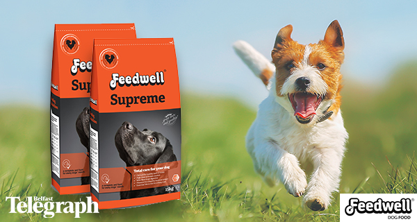 Win a years supply of Feedwell Supreme Dog Food with the Belfast Telegraph Pet Expo!